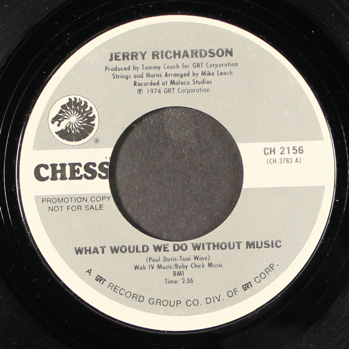 what would we do without music / i can't see the sun for the rain by JERRY RICHARDSON