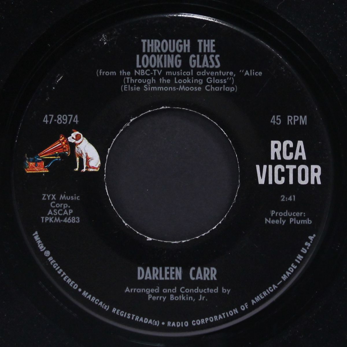 through the looking glass / shades by DARLEEN CARR