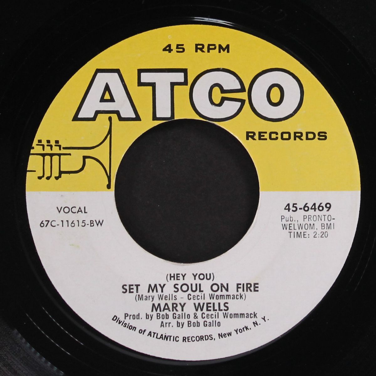 set my soul on fire / coming home by MARY WELLS