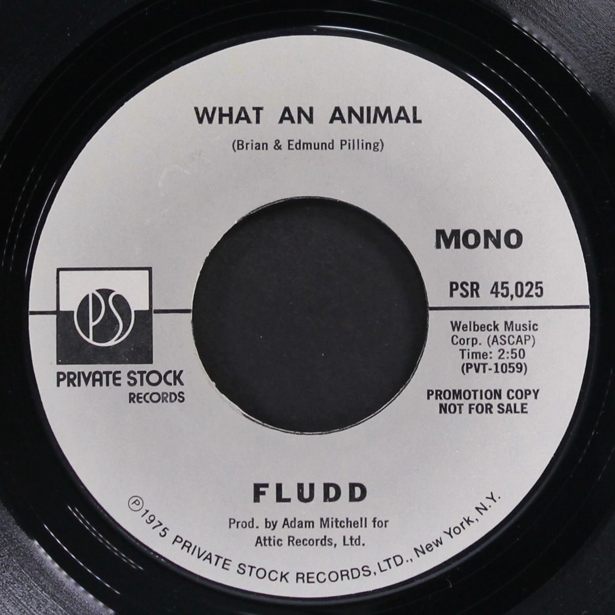 what an animal by FLUDD