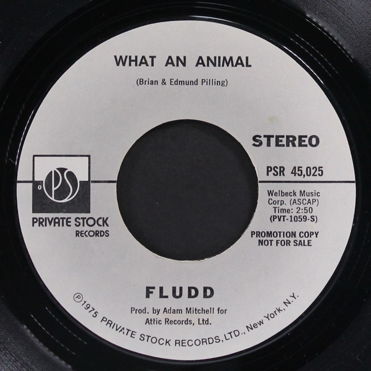 what an animal by FLUDD