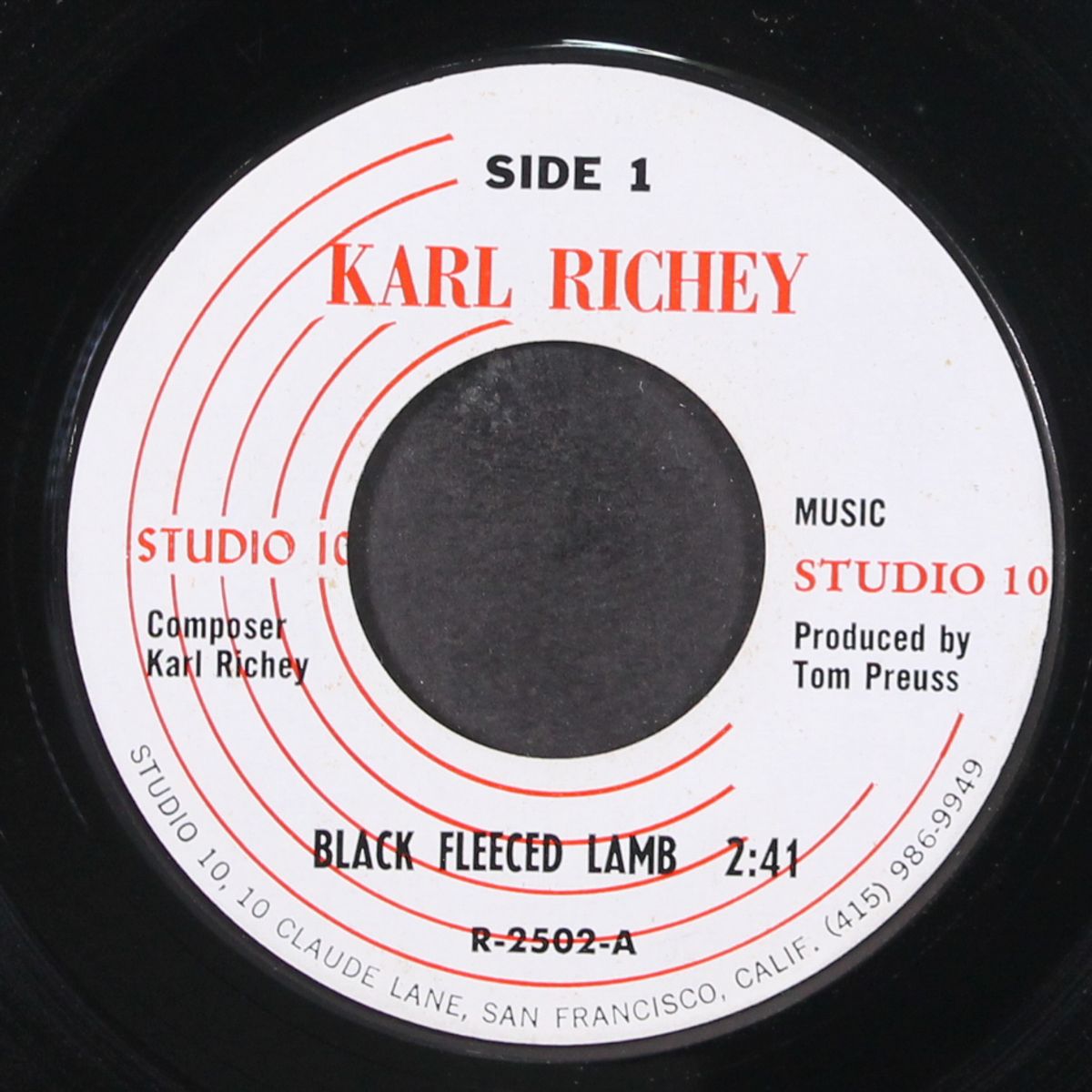 black fleeced lamb / people's park by KARL RICHEY