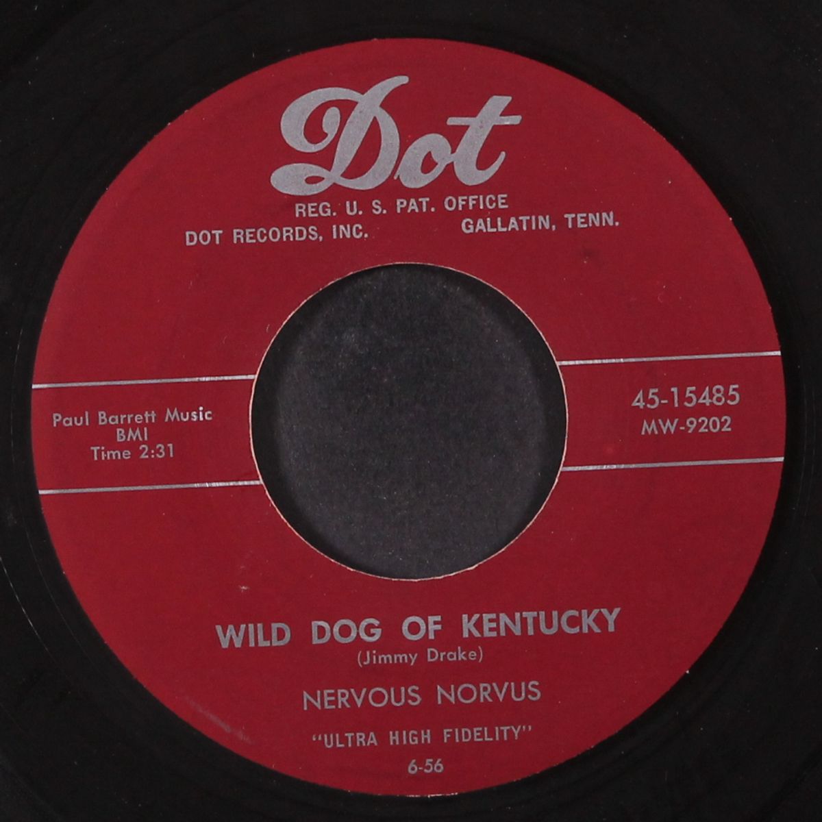 ape call / wild dog of kentucky by NERVOUS NORVUS
