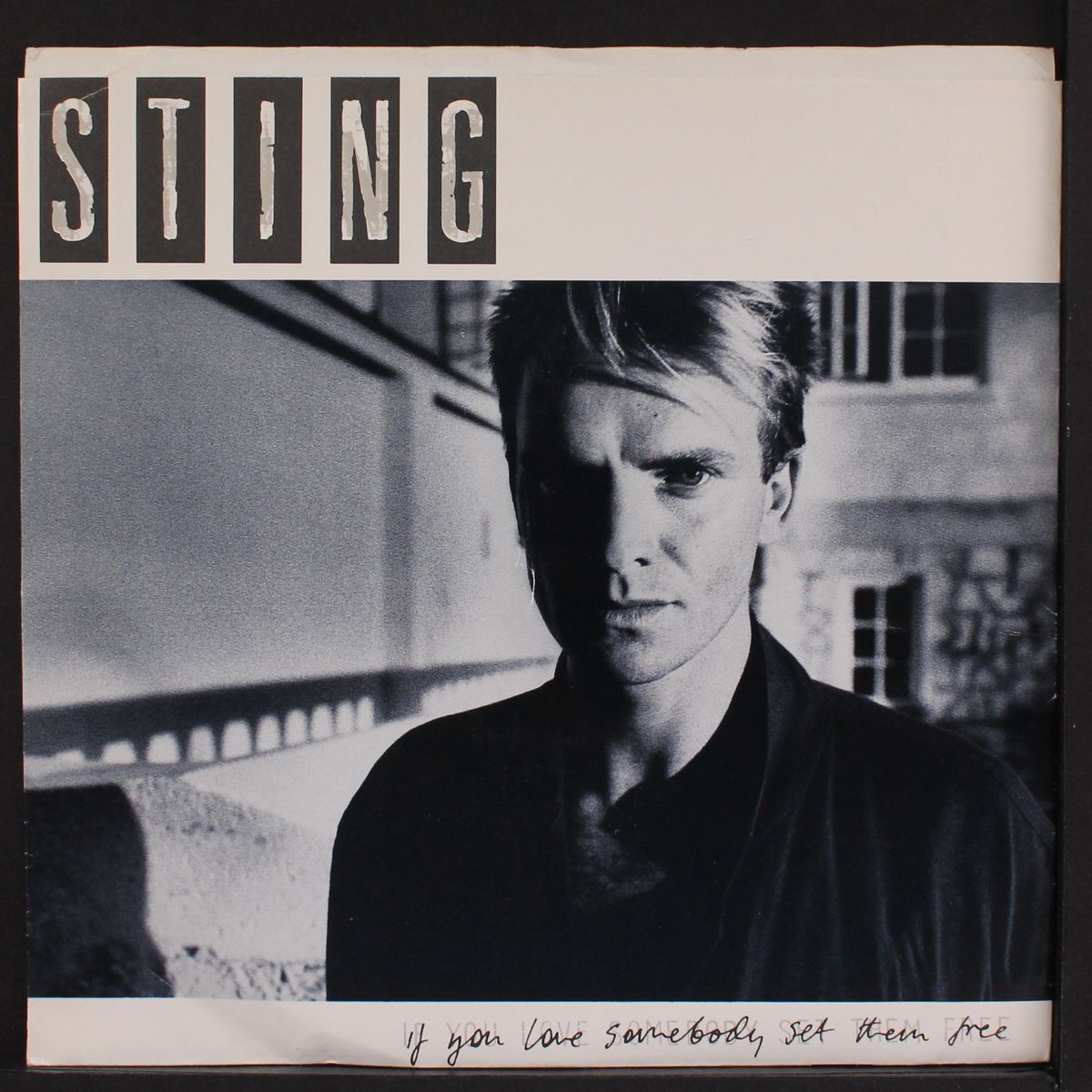if you love somebody set them free by STING