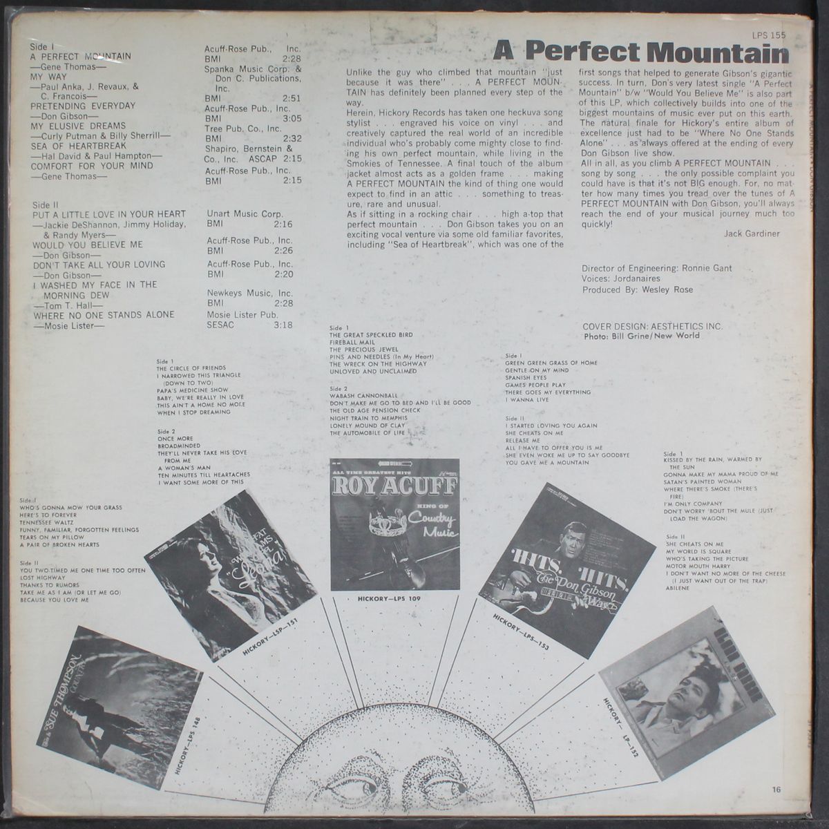 a perfect mountain by DON GIBSON
