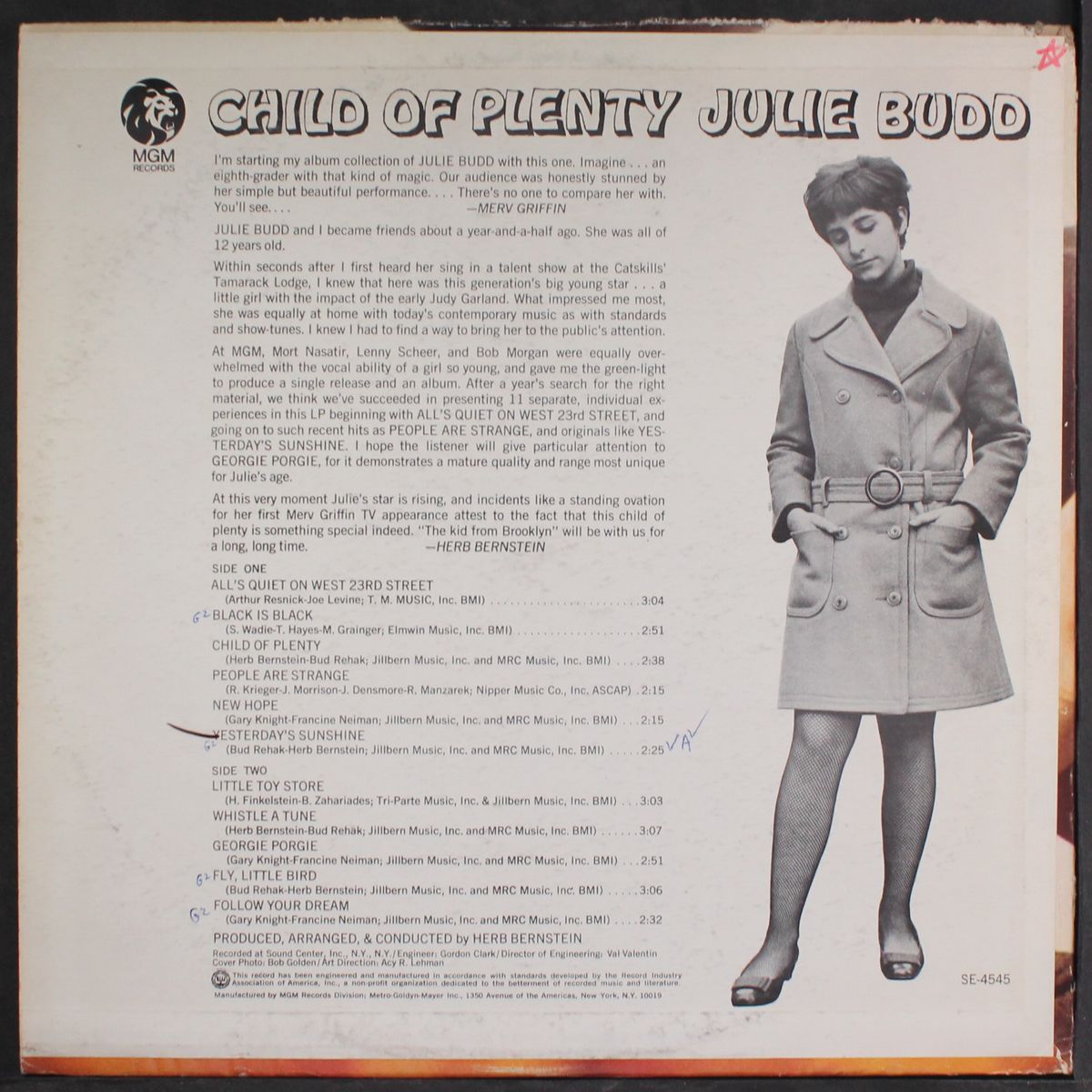 child of plenty by JULIE BUDD