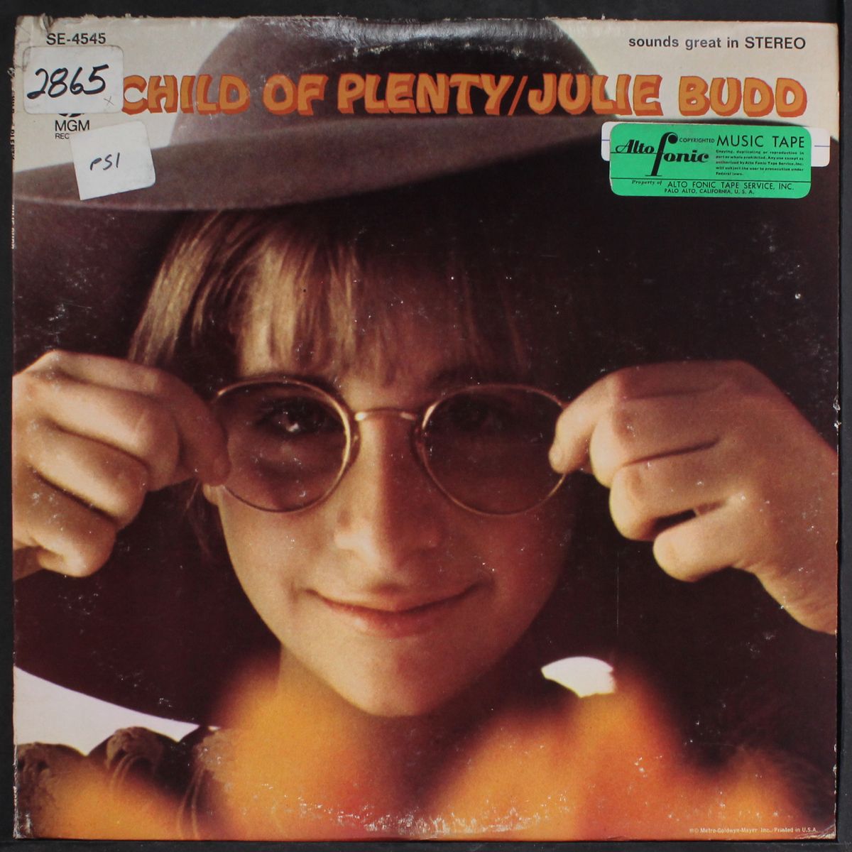 child of plenty by JULIE BUDD
