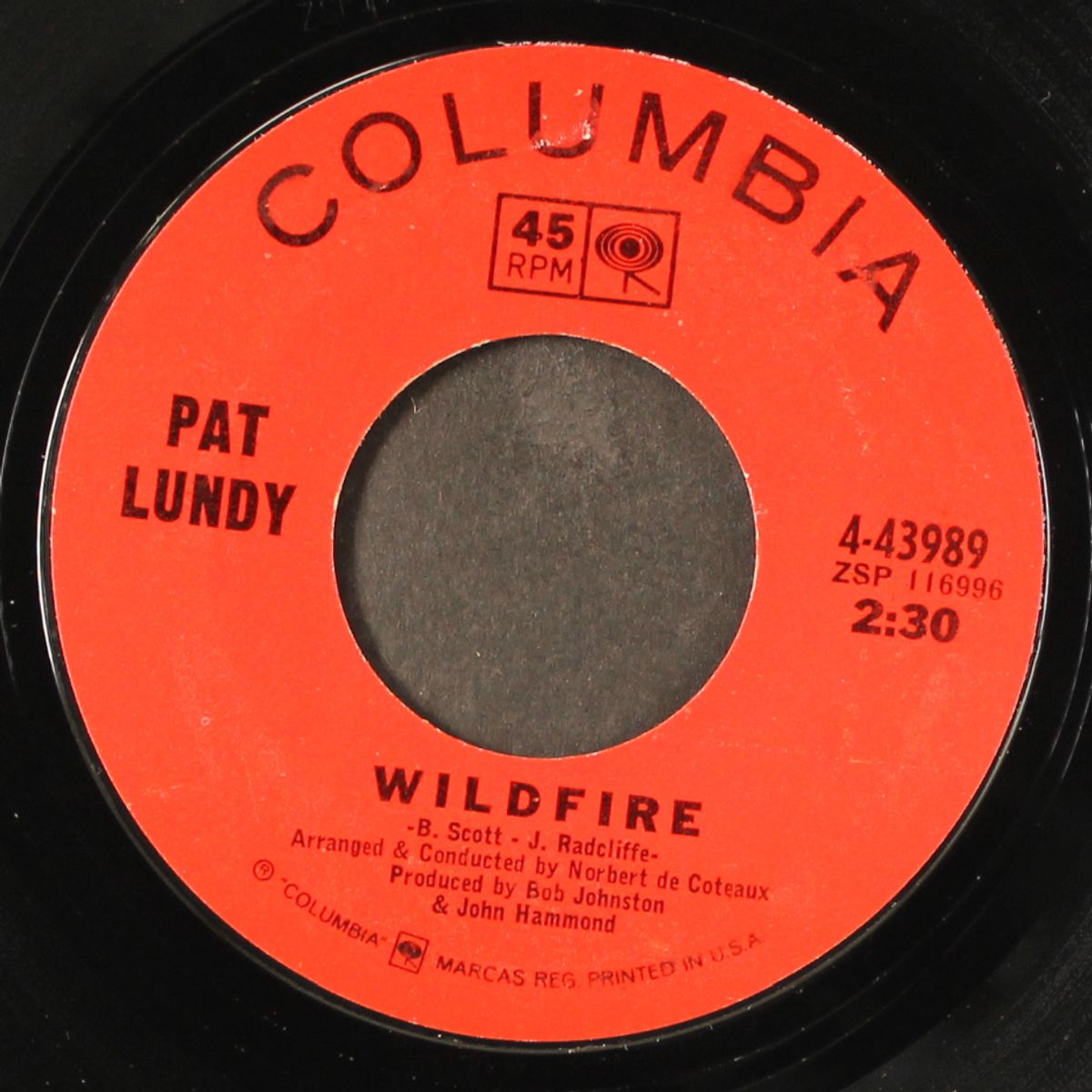 wildfire / city of stone by PAT LUNDY
