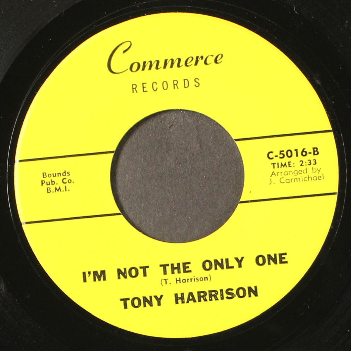 sad occasion / i'm not the only one by TONY HARRISON