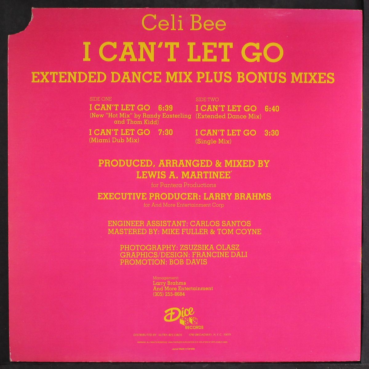 i can't let go by CELI BEE