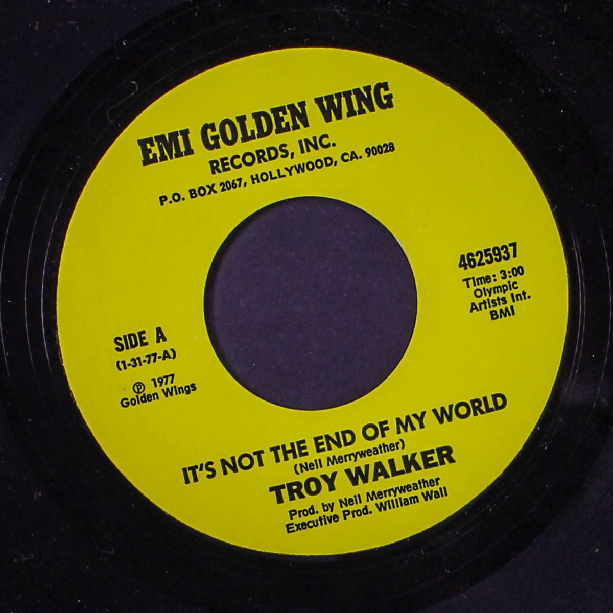 it's not the end of my world / marijuana munchies by TROY WALKER