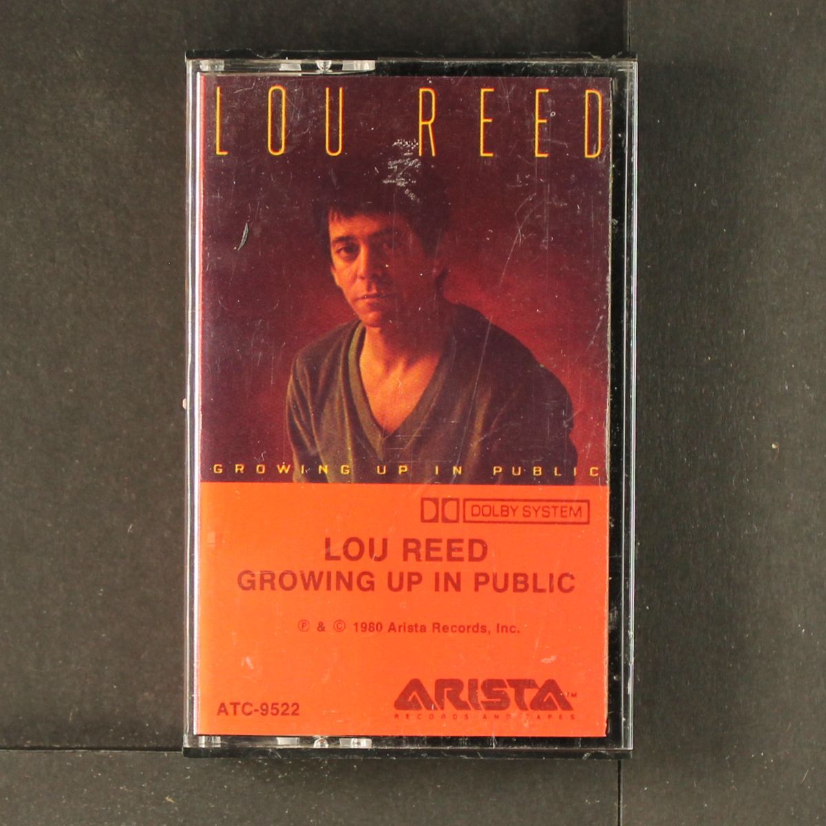 growing up in public by LOU REED