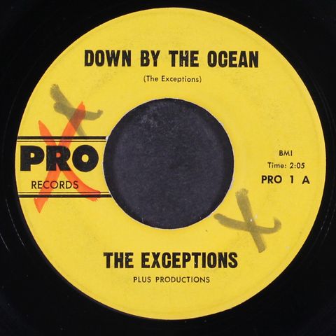 EXCEPTIONS