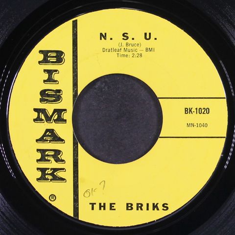 BRIKS