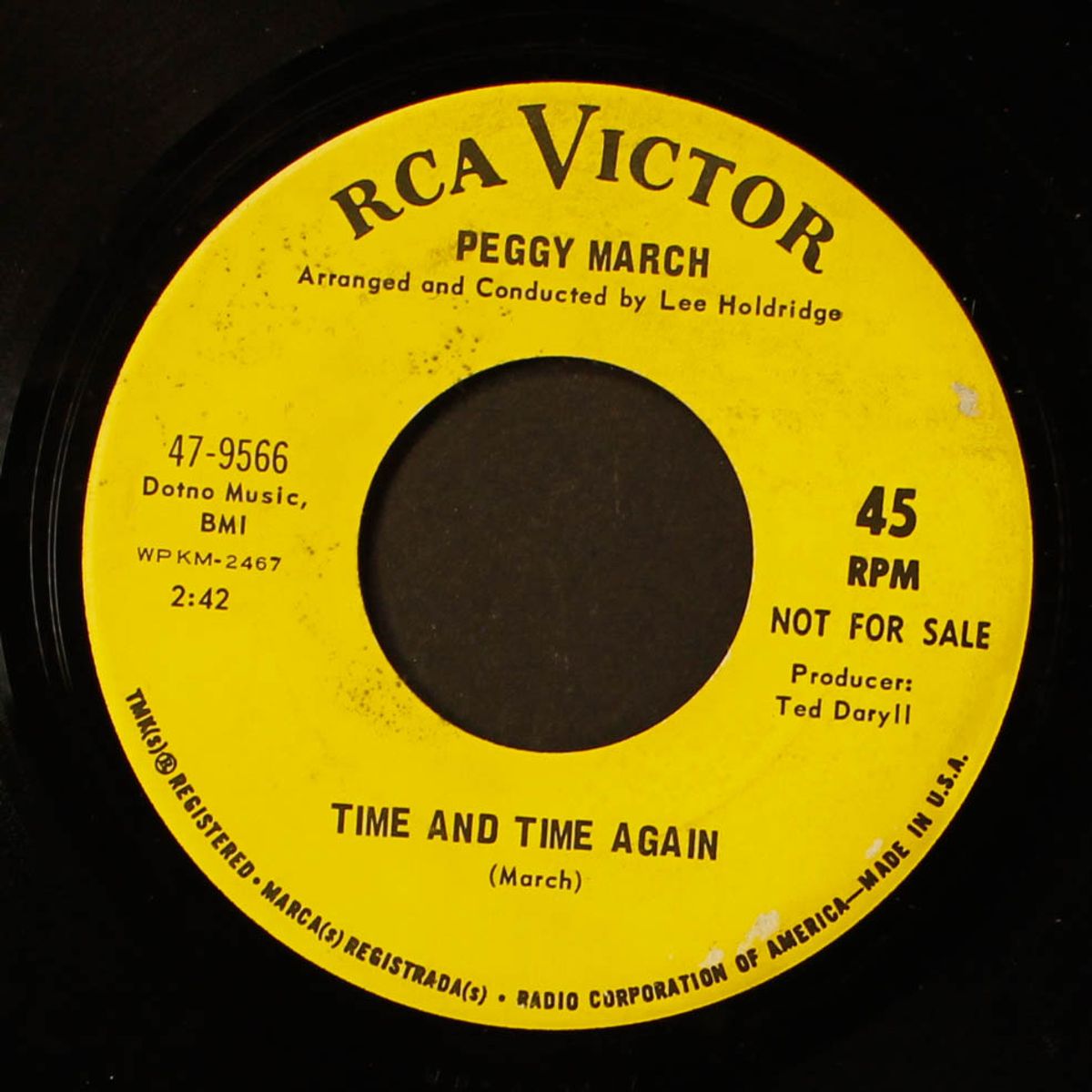 roses on the sea by PEGGY MARCH