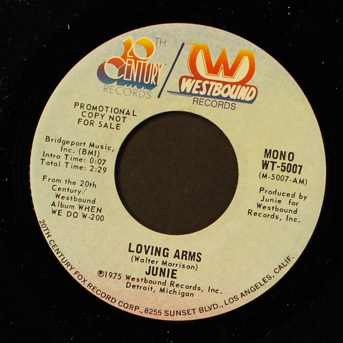 loving arms / mono by JUNIE