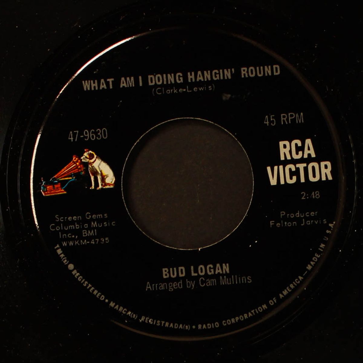 what am i doing hangin around by BUD LOGAN
