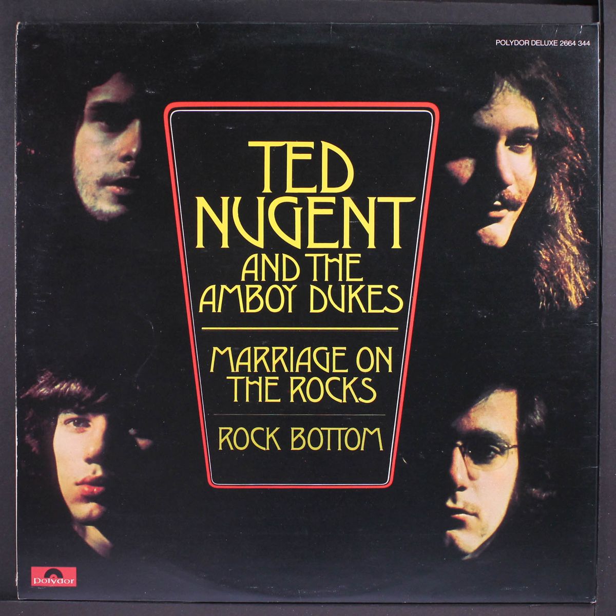 survival of the fittest / marriage on the rocks by TED NUGENT & AMBOY DUKES