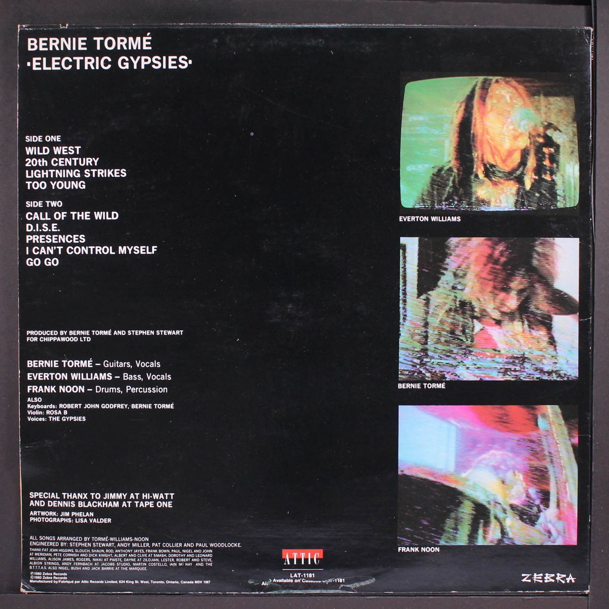 electric gypsies by BERNIE TORME