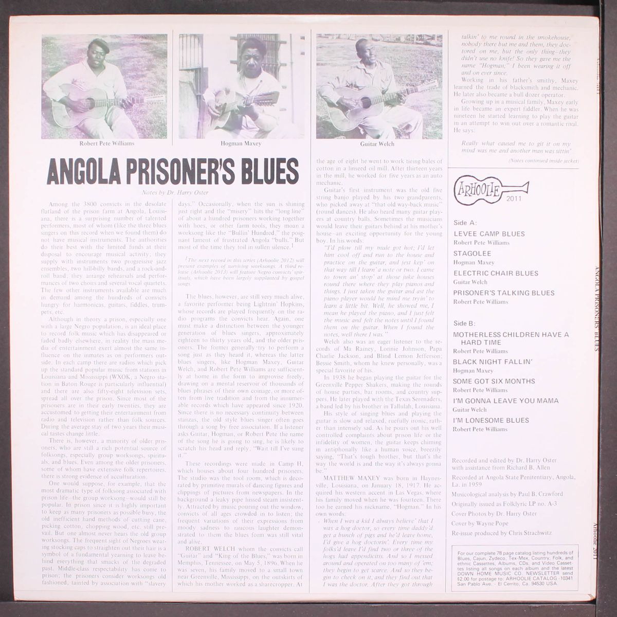 angola prisoner's blues by ROBERT PETE WILLIAMS