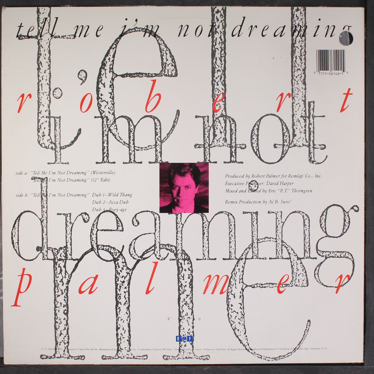 tell me i'm not dreaming by ROBERT PALMER