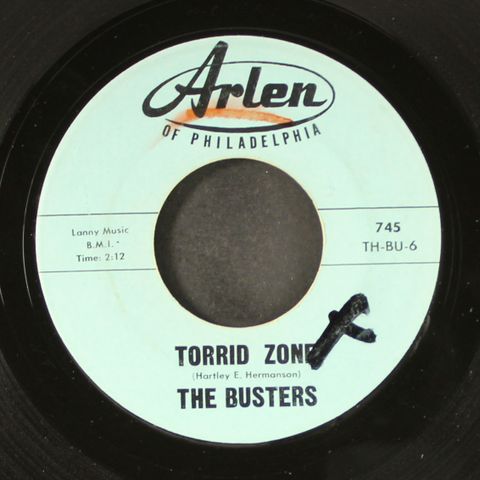 BUSTERS
