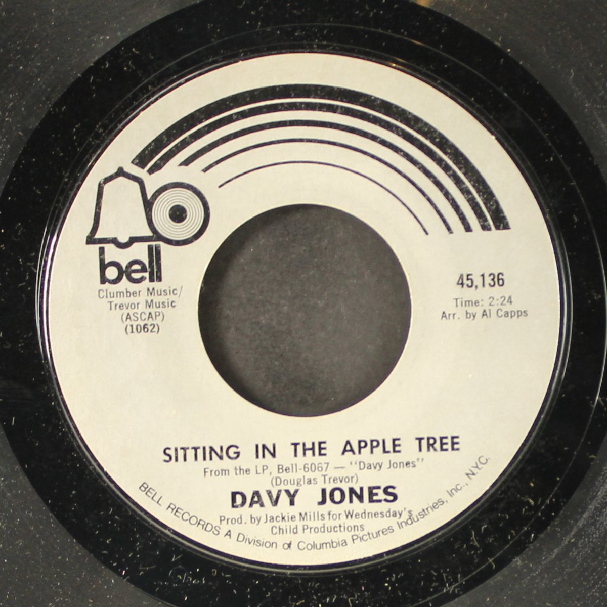 i really love you / sitting in the apple tree by DAVY JONES