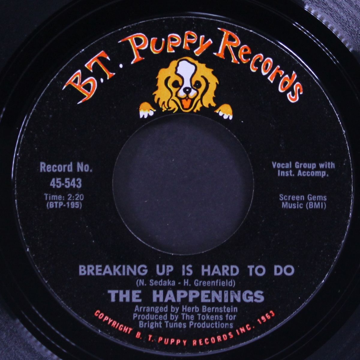 breaking up is hard to do / anyway by HAPPENINGS
