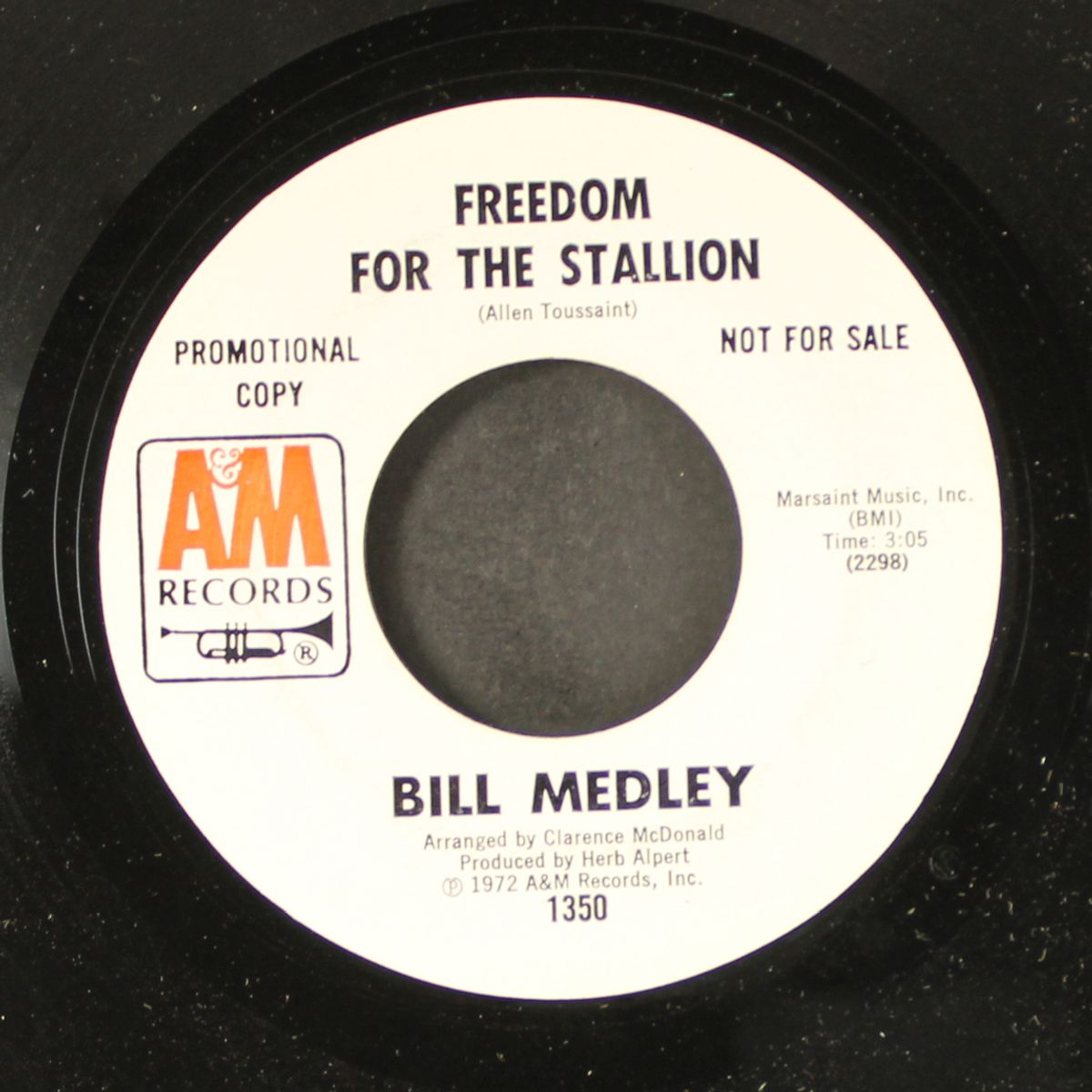 freedom for the stallion by BILL MEDLEY