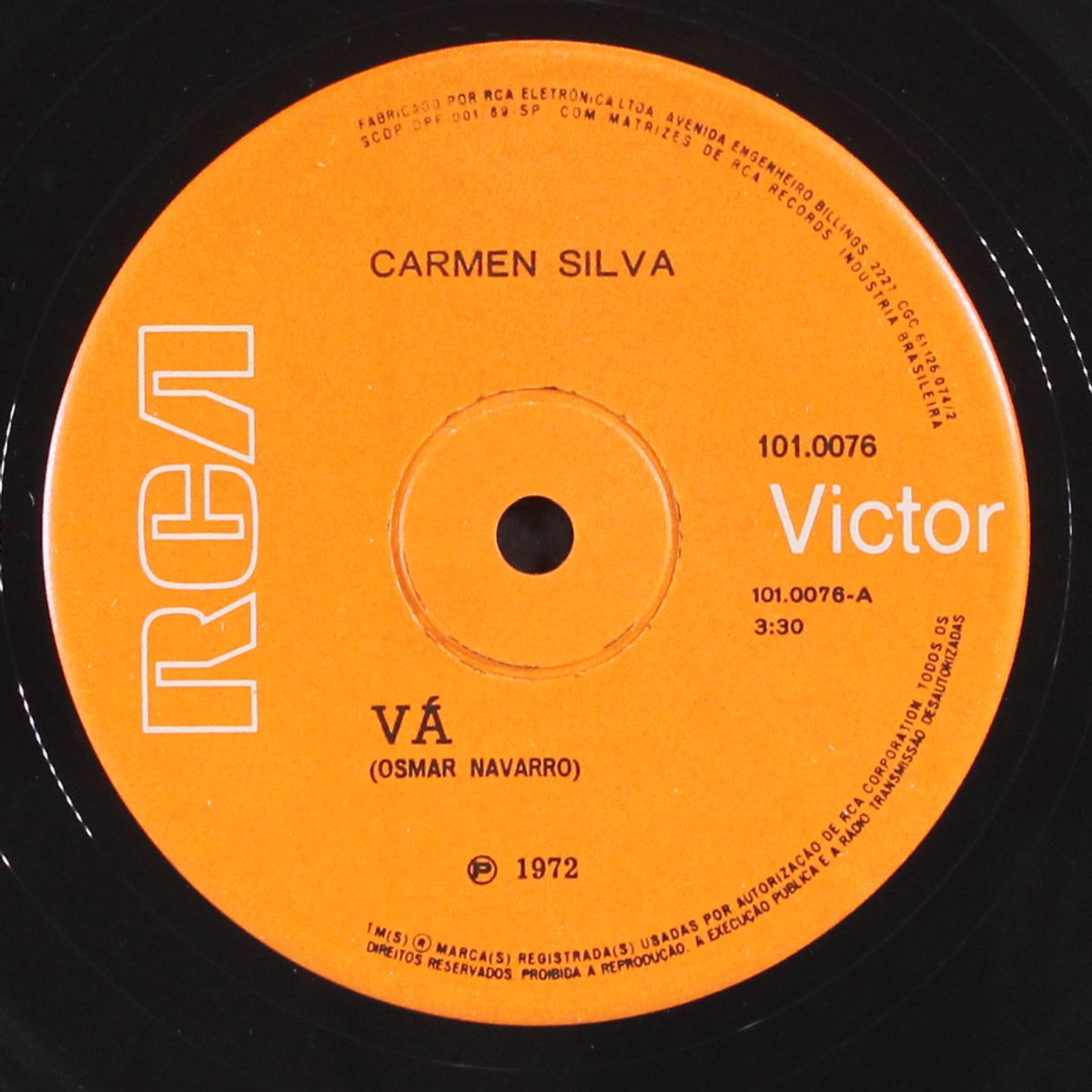 va / nao importa o que dizem by CARMEN SILVA