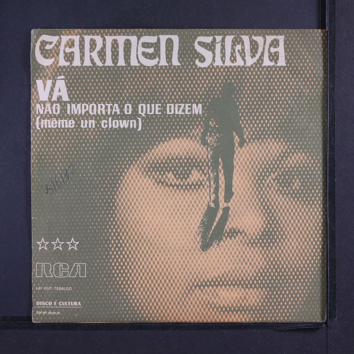va / nao importa o que dizem by CARMEN SILVA