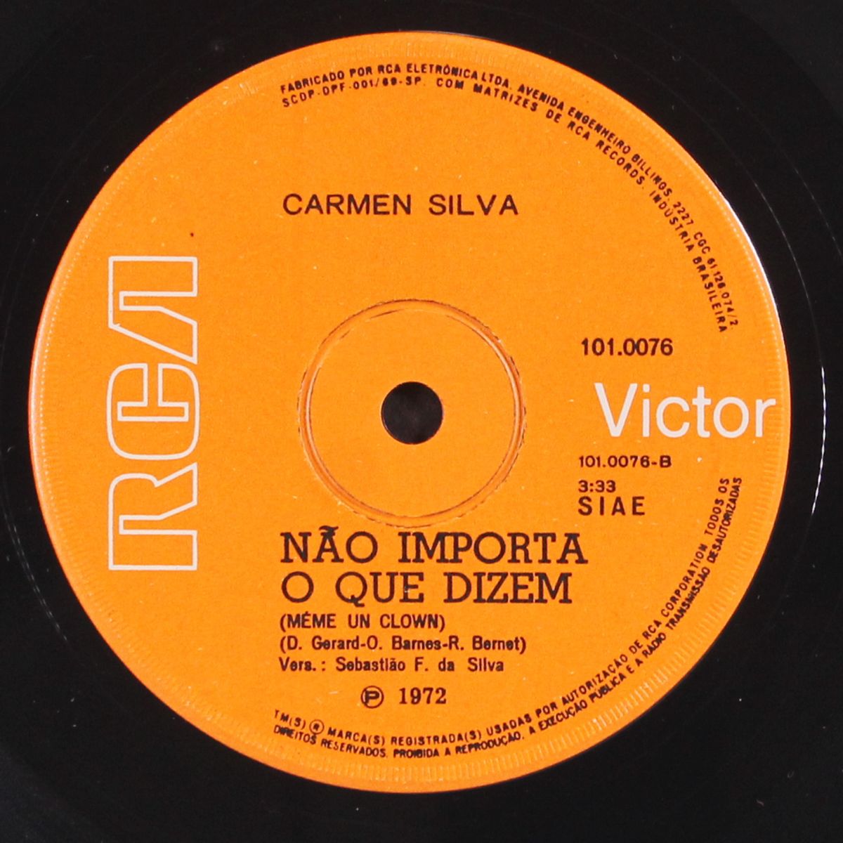 va / nao importa o que dizem by CARMEN SILVA