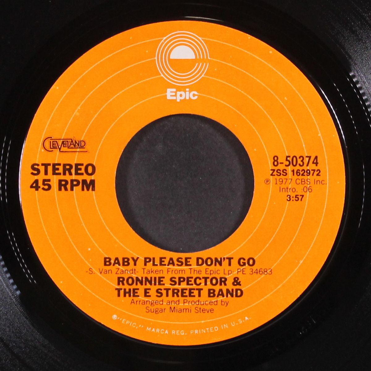 say goodbye to hollywood / baby please don't go by RONNIE SPECTOR & E STREET BAND