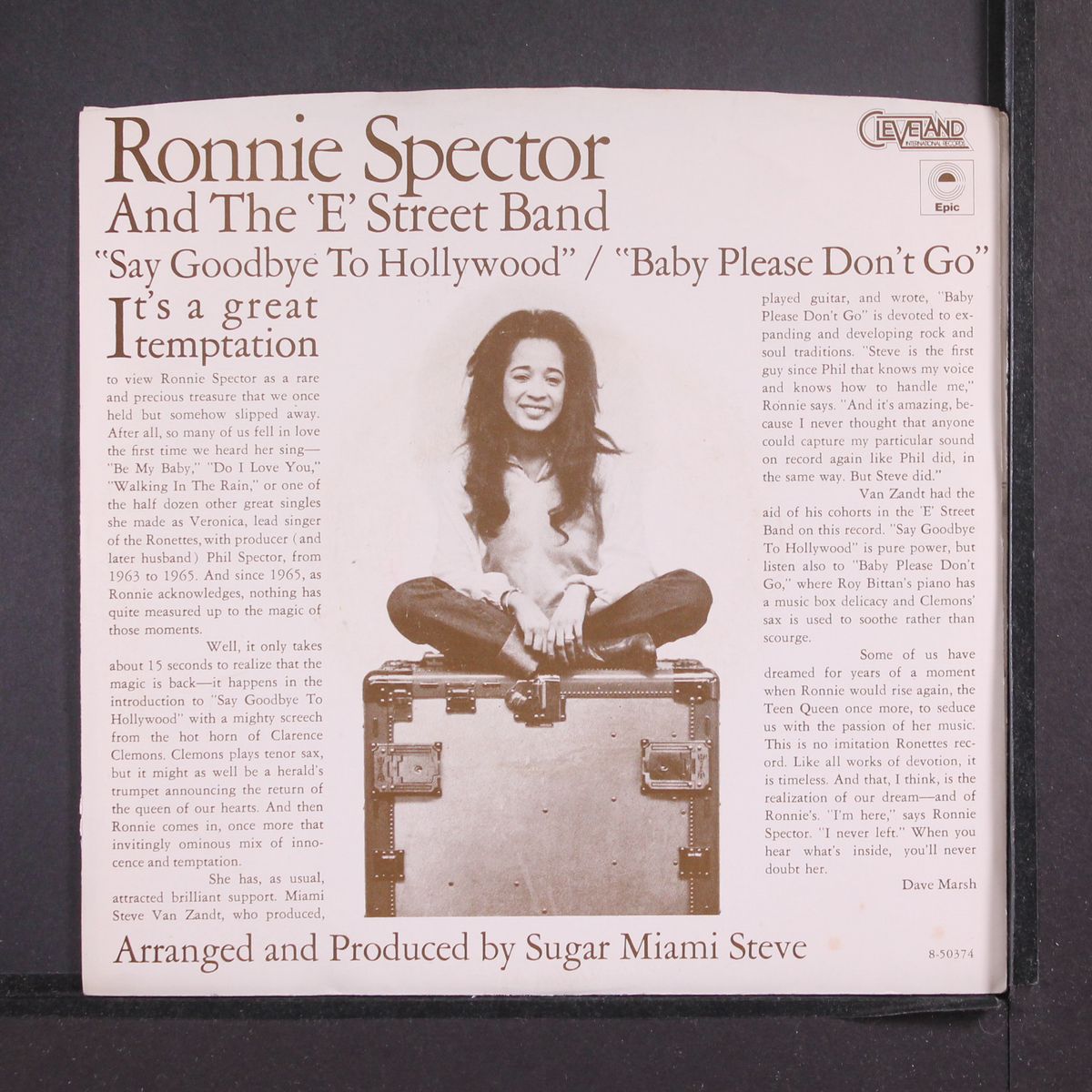 say goodbye to hollywood / baby please don't go by RONNIE SPECTOR & E STREET BAND