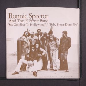 RONNIE SPECTOR & E STREET BAND