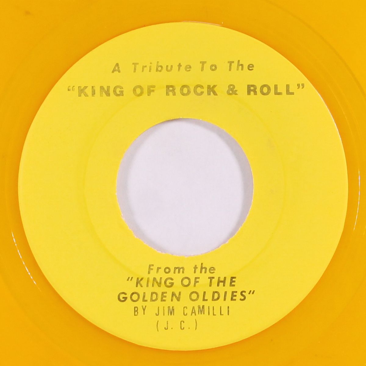 a tribute to the king of rock & roll by JIM CAMILLI
