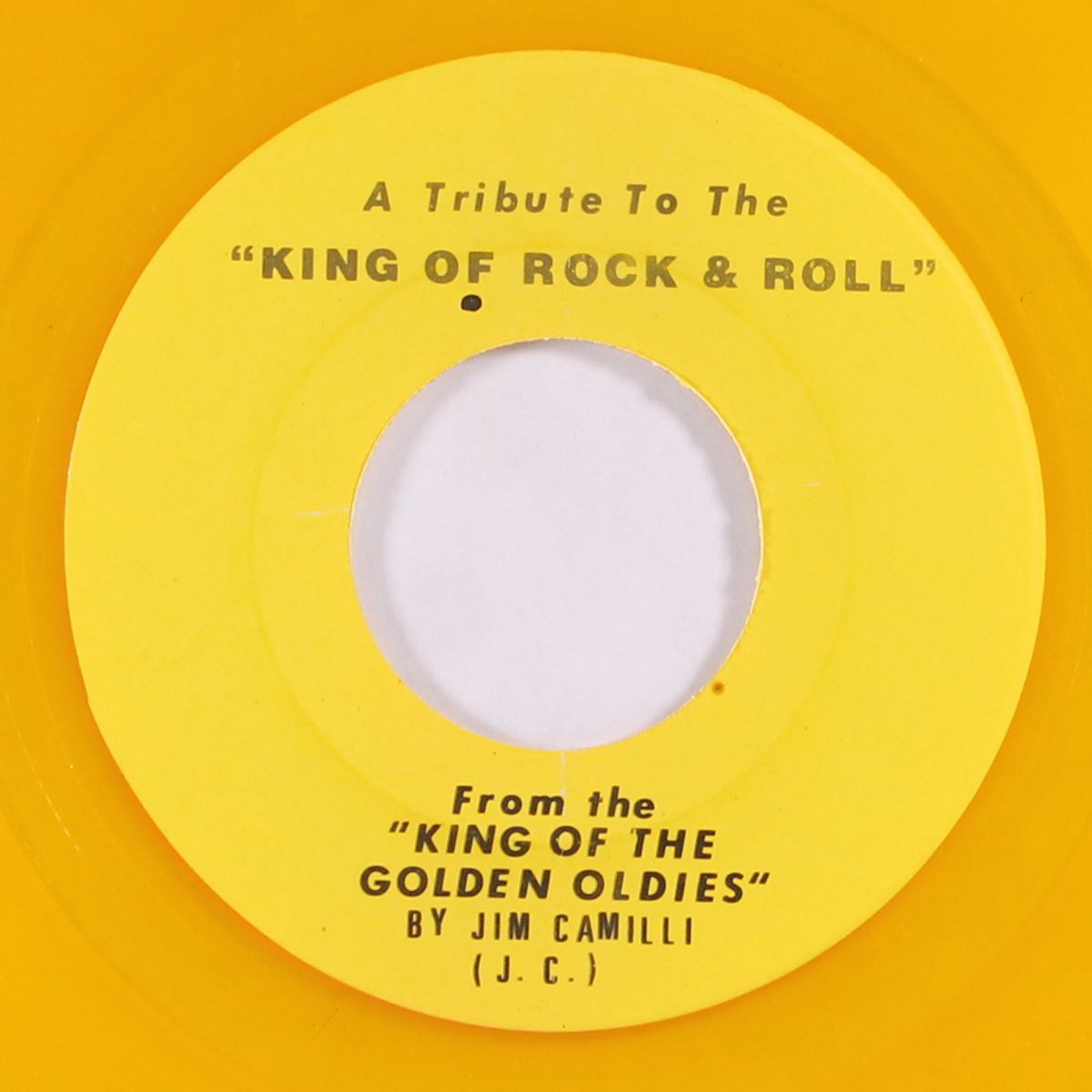 a tribute to the king of rock & roll by JIM CAMILLI