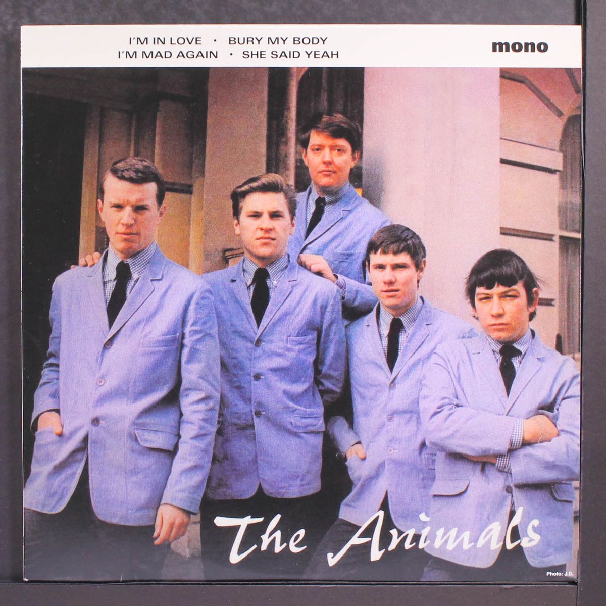 the animals by ANIMALS
