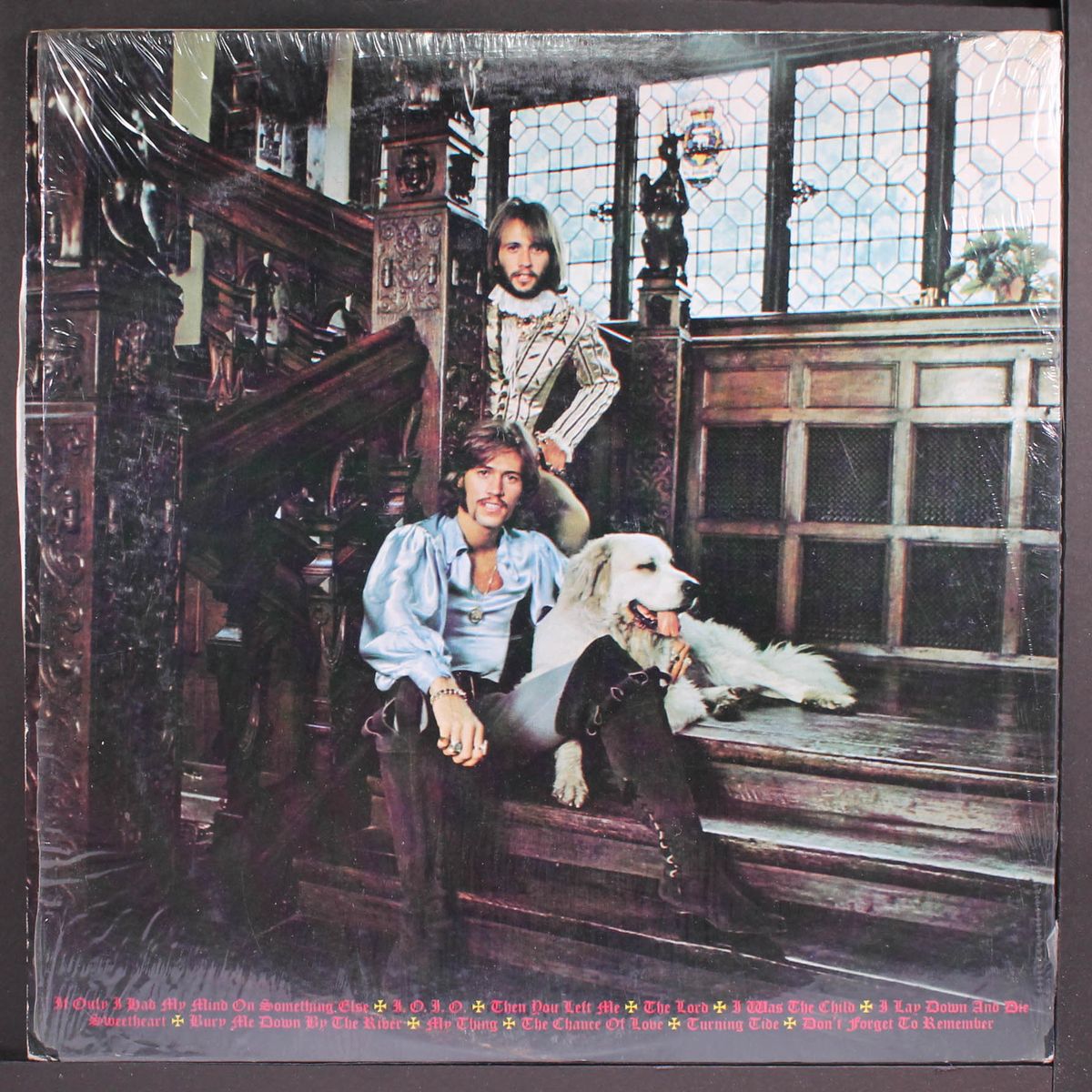 cucumber castle by BEE GEES