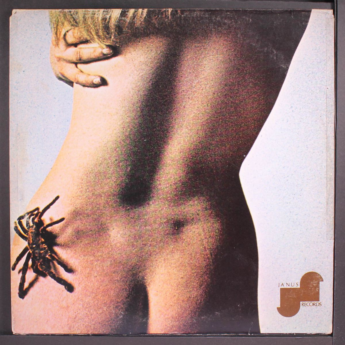 contrasts by BLONDE ON BLONDE