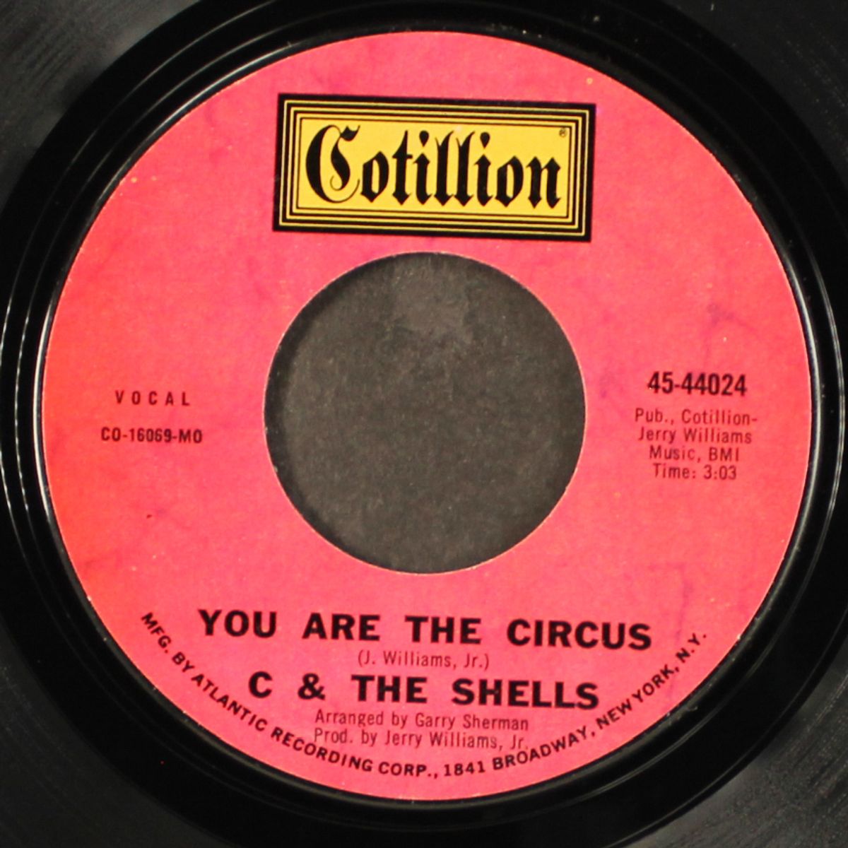 i've fallen in love / you are the circus by C & SHELLS