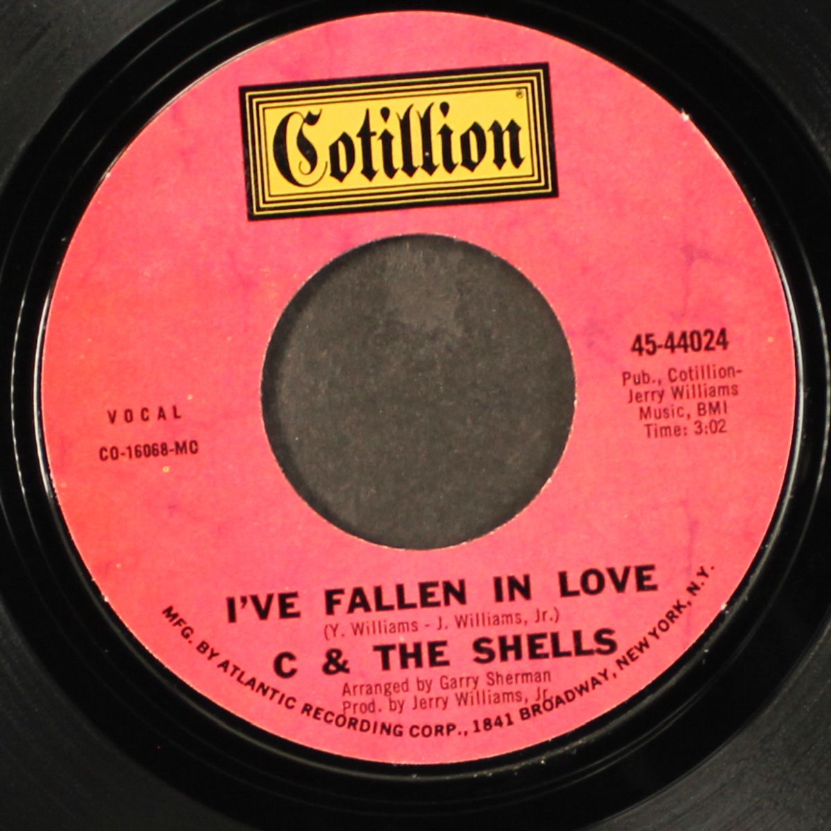 i've fallen in love / you are the circus by C & SHELLS