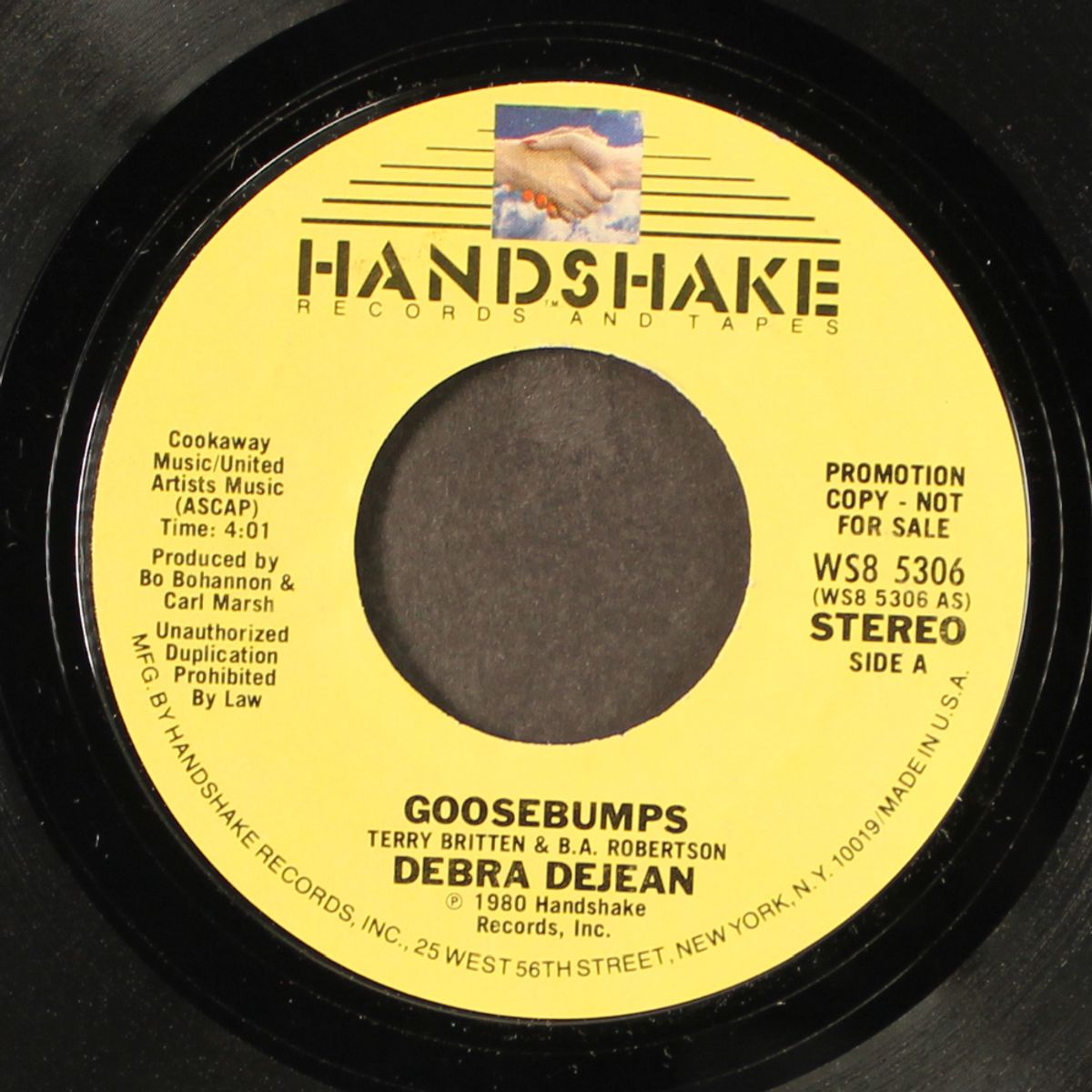 goosebumps by DEBRA DEJEAN