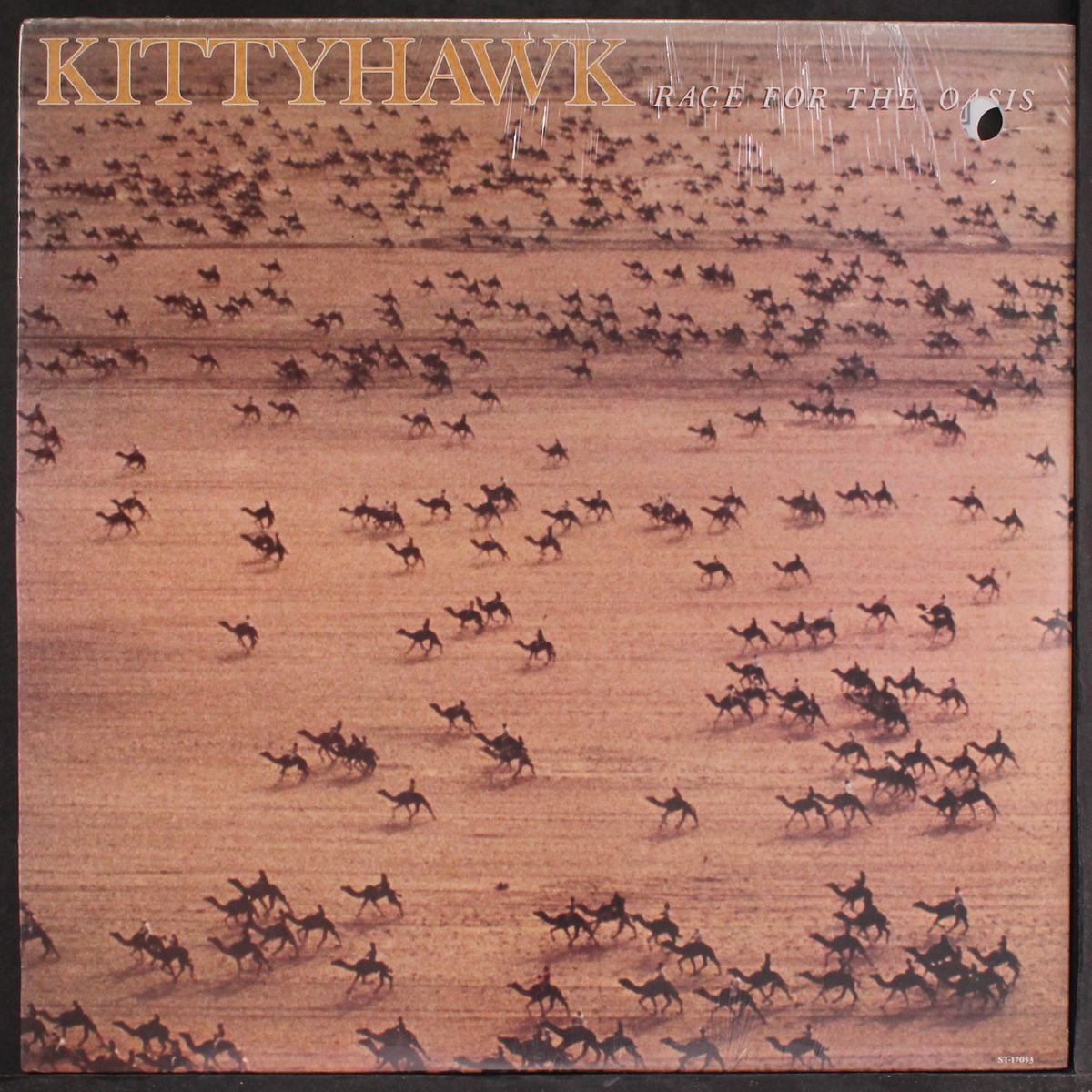 race for the oasis by KITTYHAWK