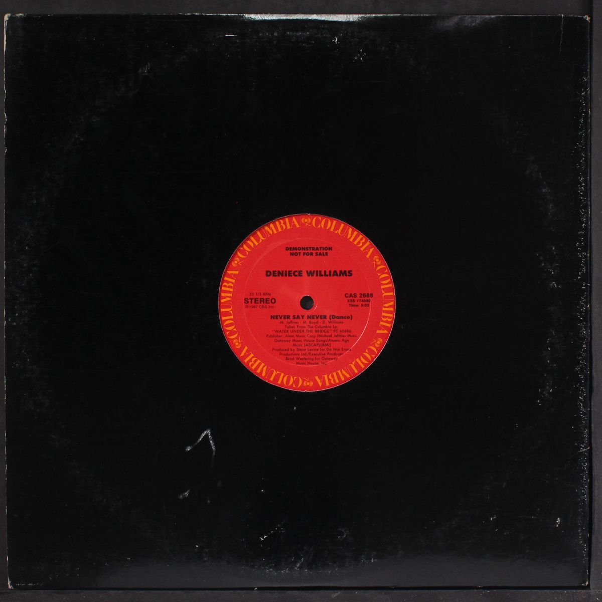 never say never by DENIECE WILLIAMS
