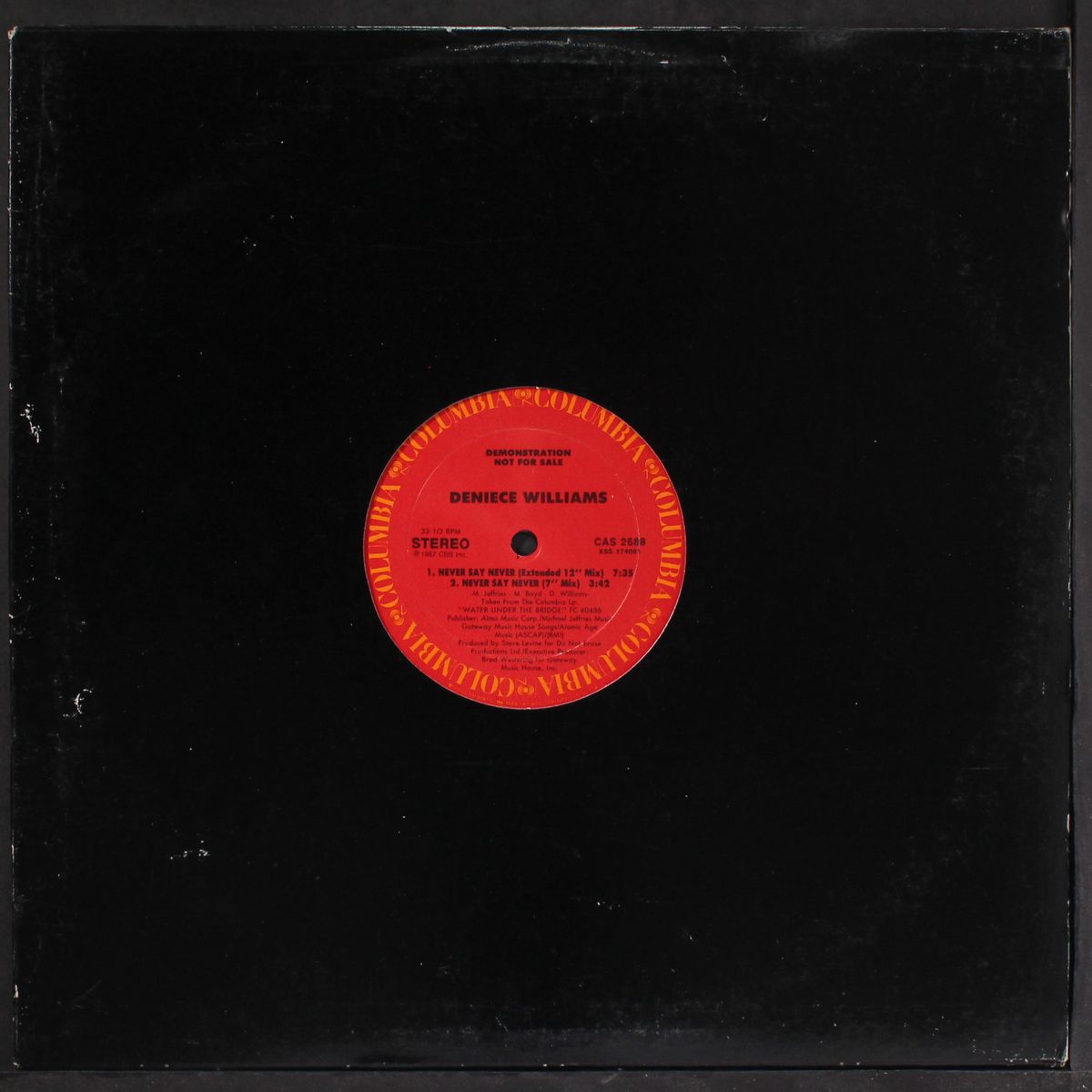 never say never by DENIECE WILLIAMS