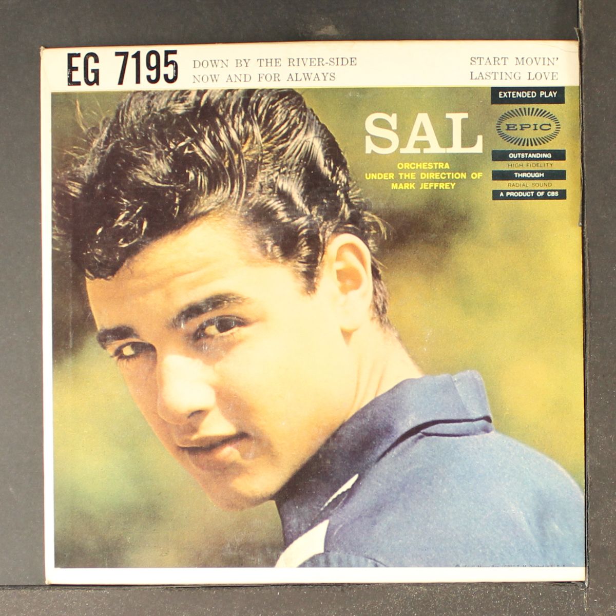 sal, vol. 2 by SAL MINEO