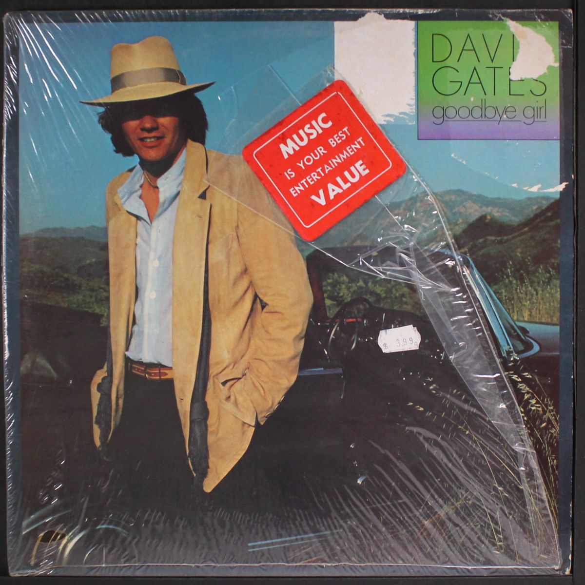 goodbye girl by DAVID GATES