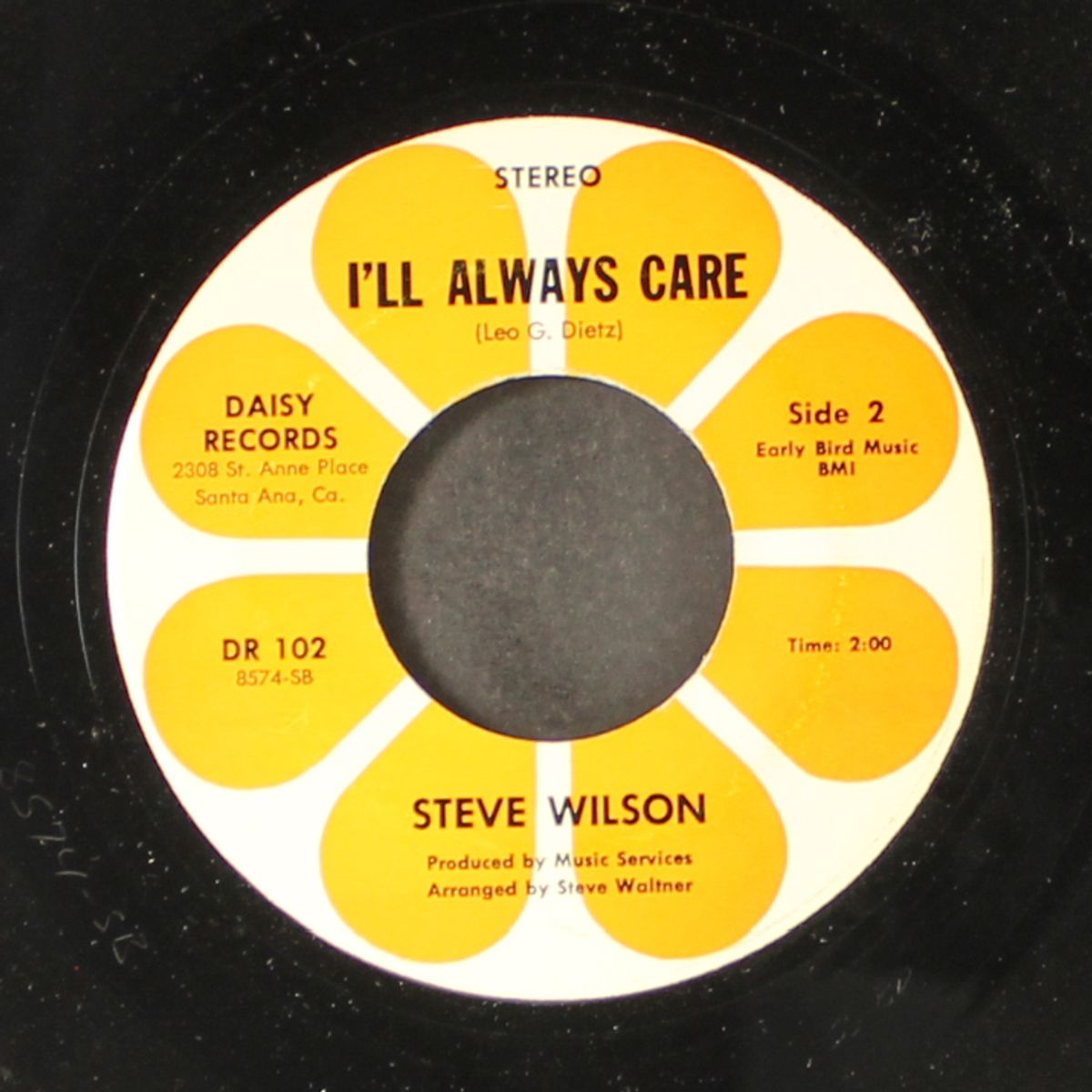 come on let's do it again by STEVE WILSON