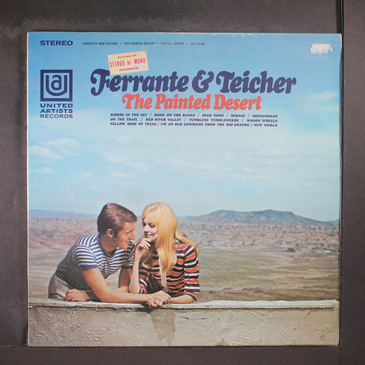 the painted desert by FERRANTE & TEICHER